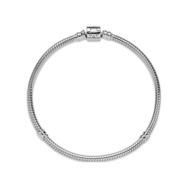 Pandora Armband Moments 2