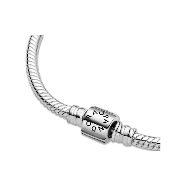 Pandora Armband Moments 3